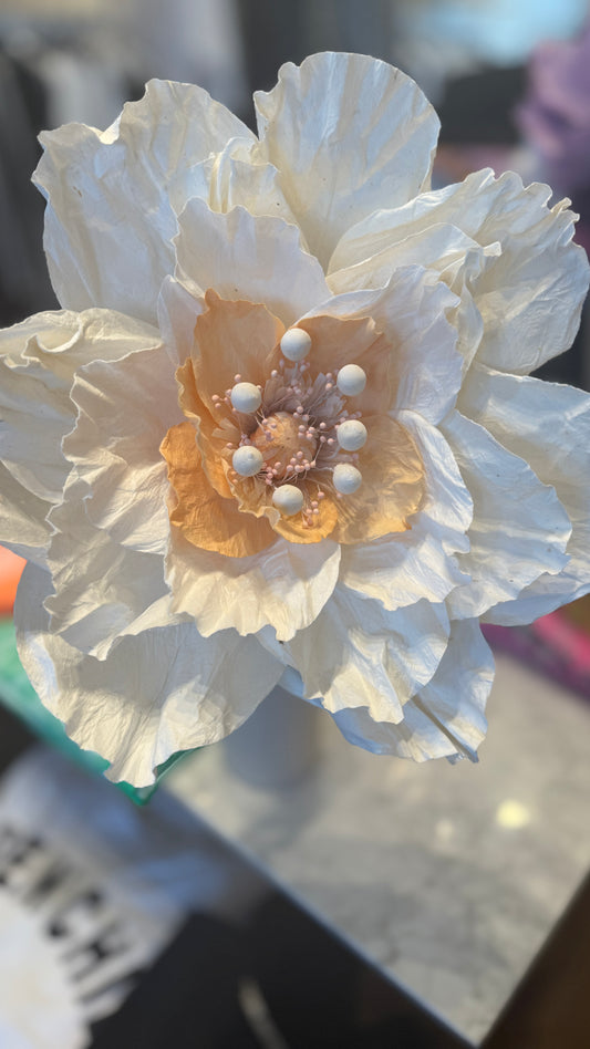 Large Poppy Paper Flower - White