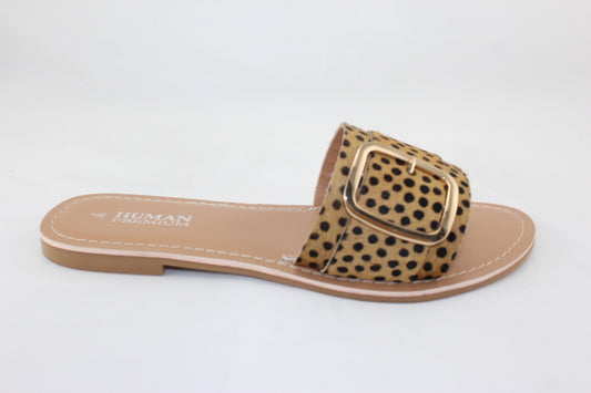 Zion Leopard Print Slides with Buckle - Cheeta Print Zion Slides - Basic State