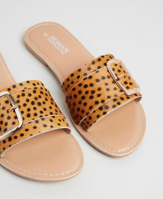 Zion Leopard Print Slides with Buckle - Cheeta Print Zion Slides - Basic State