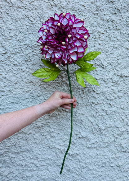 Dahlia Paper Flower - White with Magenta
