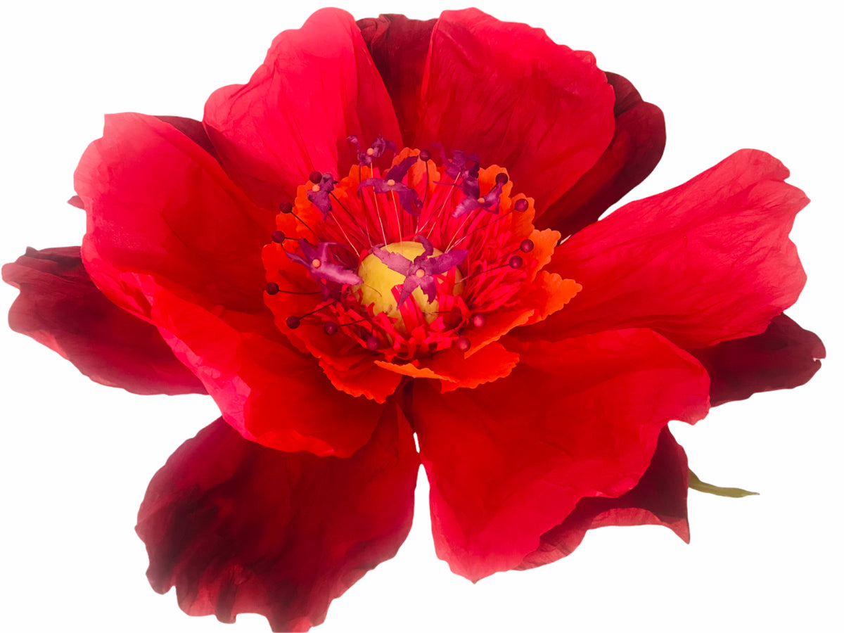 Dancing Paper Flower - XL - Red