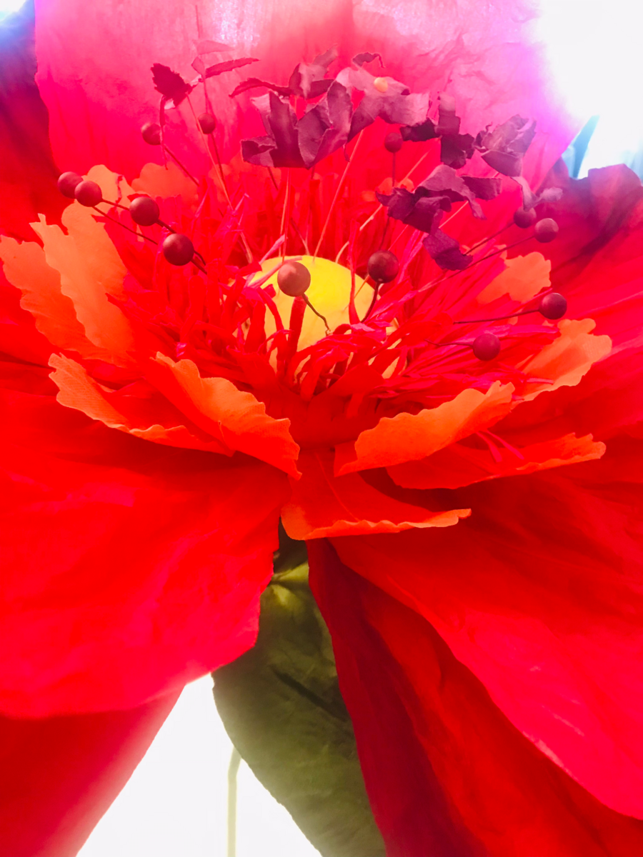 Dancing Paper Flower - XL - Red
