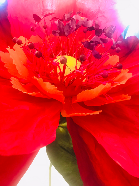 Dancing Paper Flower - XL - Red