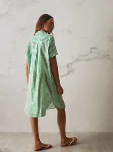 Ava Shirt Dress - Green Stripe