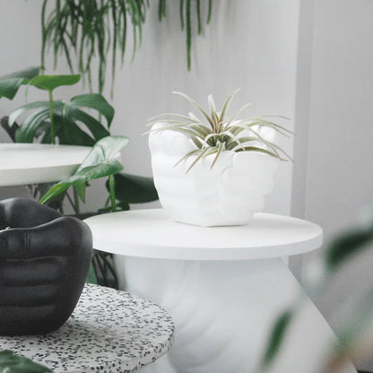 Hand Planter || White