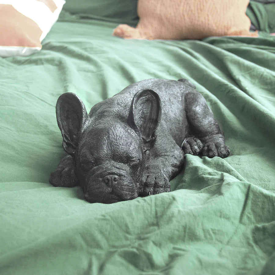 Sleeping Frenchie || Black