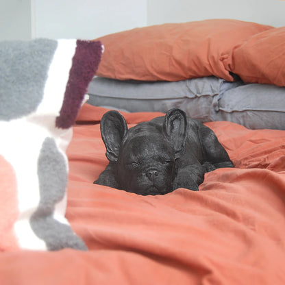 Sleeping Frenchie || Black