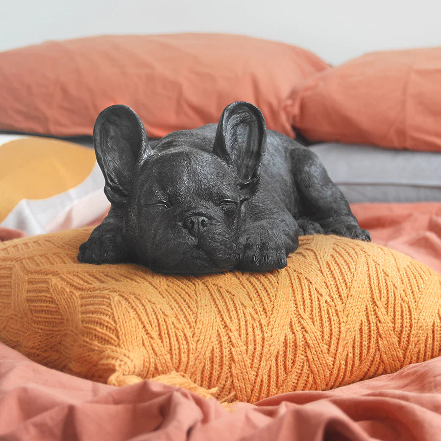 Sleeping Frenchie || Black