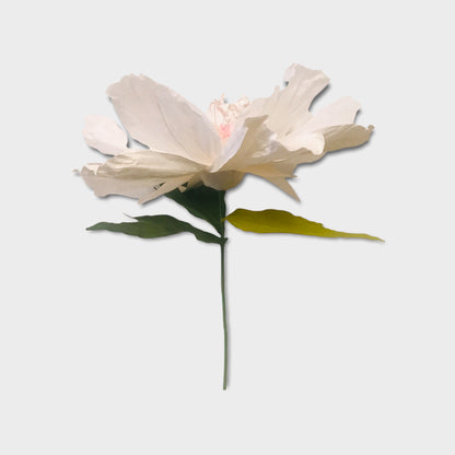 Dancing Paper Flower - XL - White