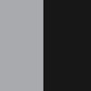 Black/Silver